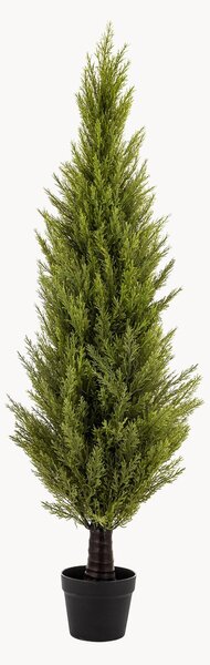 Umělá rostlina v květináči Cypress Bush