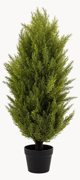 Umělá rostlina v květináči Cypress Bush
