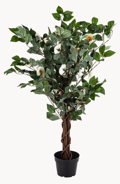 Umělá rostlina v květináči Camellia Tree