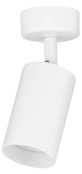 Designové stropní svítidlo Reig 6 White