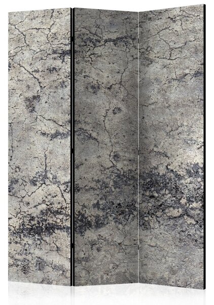 Paraván Grey Lady Dekorhome 135x172 cm (3-dílný)