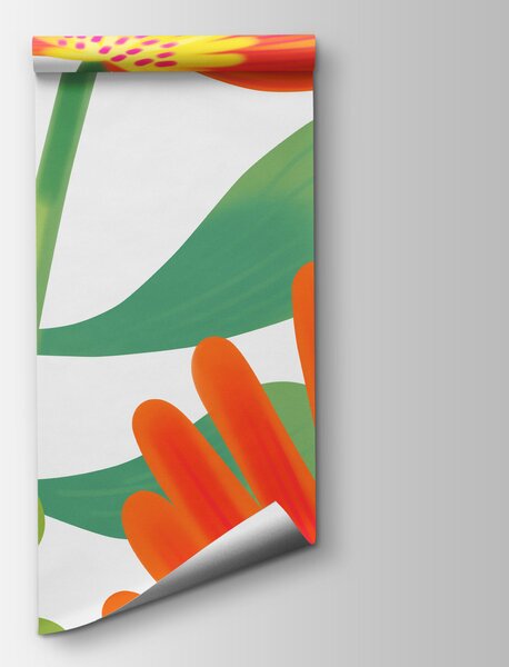 Fototapeta Skupina barevných květin, Květinové fototapety, Populární fototapety, t00871 - Tapeko.co.cz