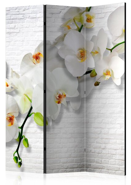 Paraván - Městská orchidej 135x172