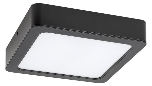 Rabalux 2689 - LED Stropní svítidlo SHAUN LED/12W/230V 14,5 cm