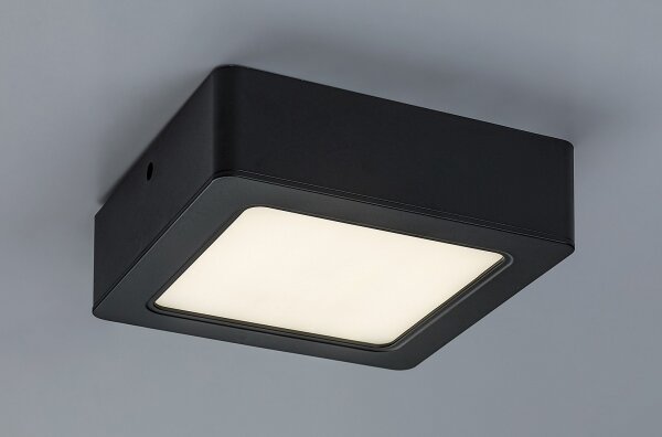 Rabalux 2689 - LED Stropní svítidlo SHAUN LED/12W/230V 14,5 cm
