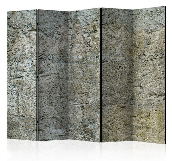 Paraván - Kamenná bariéra II 225x172