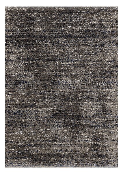 Koberec Royal Living dark grey/sailor blue 120x170cm