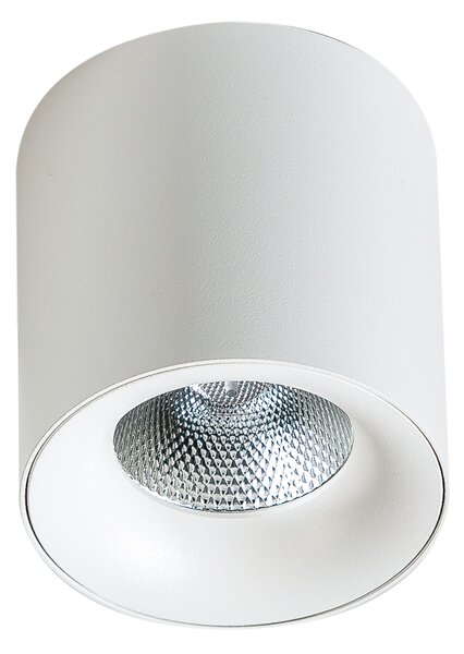 LED bodové světlo Mane 20W bílé – Bílá