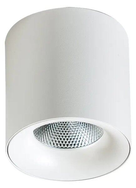 LED bodové světlo Mane 10W 4000K bílé – Bílá