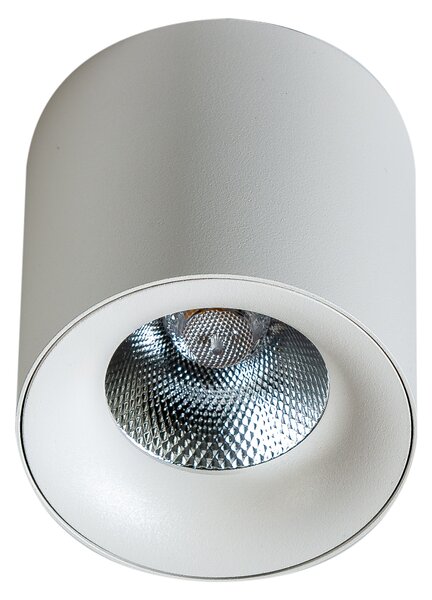 LED bodové světlo Mane 20W bílé – Bílá