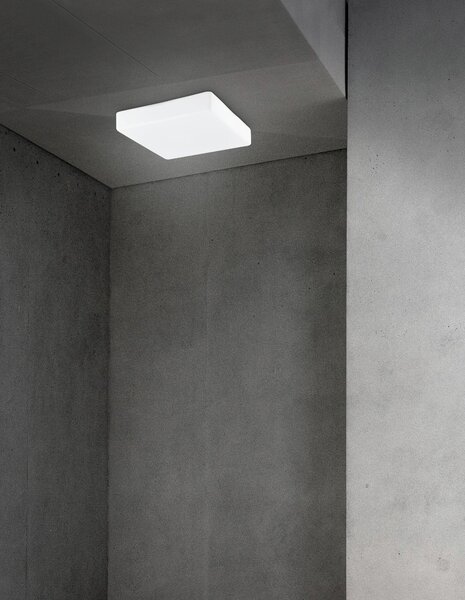 Moderní stropní svítidlo Cube 25 bílé – Bílá