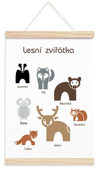 Pieris design Naučný plakát - Lesní zvířátka v češtině