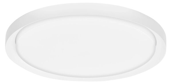 LED stropní svítidlo Troy 56 bílé – Bílá