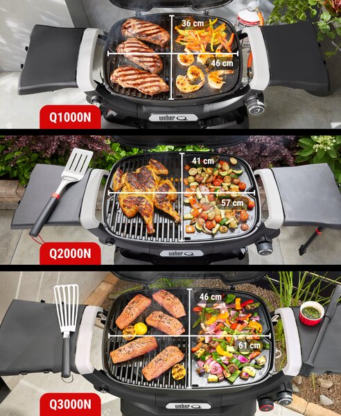 Weber Plynový gril Q1100N