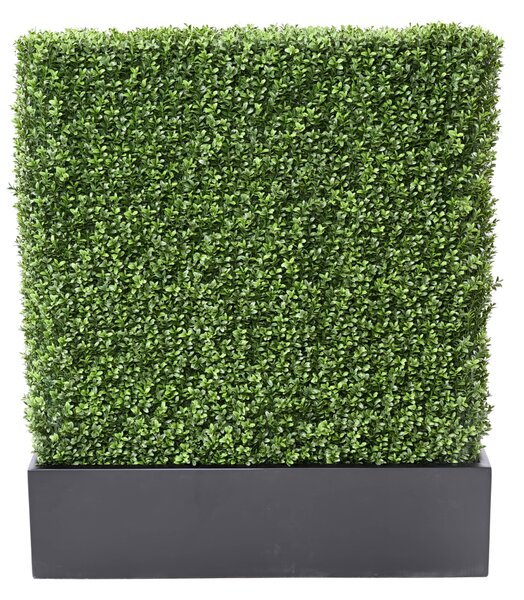 Zástěna buxus 100cm x 60cm