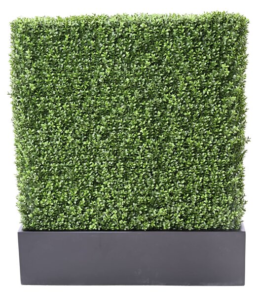 Zástěna buxus 100cm x 60cm