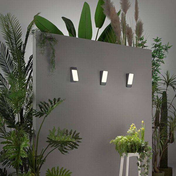 INTEC LED venkovní nástěnné svítidlo Coupe, antracitová, výška 20 cm, kov, Černá, Hliník, Moderní