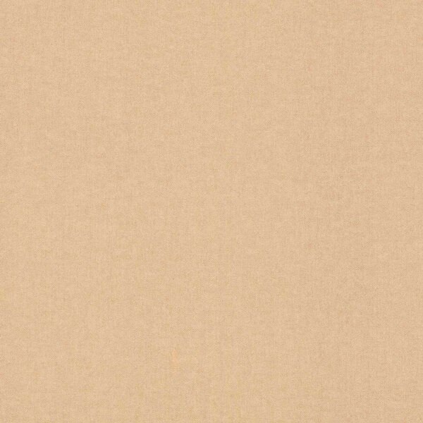 RASCH | Vliesová tapeta na zeď Kids World 2 252866 | 0,53 x 10,05 m | hnědá