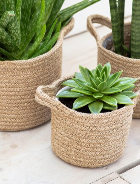 Jutový obal na květiny – set 3 ks