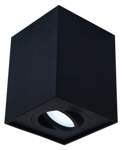 BERGE Podhledové bodové svítidlo 6685 výklopné černá - bílá - 115mm