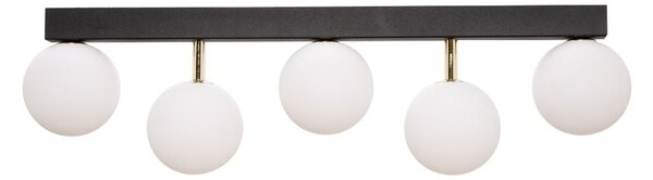 Zuma Line 5643 přisazené stropní svítidlo ALI | 40W G9