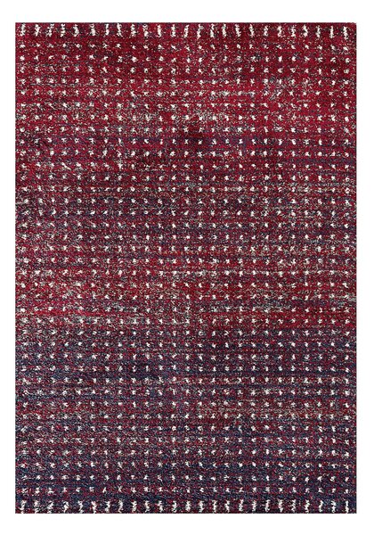 Koberec Royal cherry red/navy 160x230 cm
