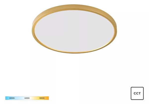 Zuma Line WM-BP1108-S-G LED přisazené stropní svítidlo CAMI | 36W integrovaný LED zdroj | 3000/4000/6000K