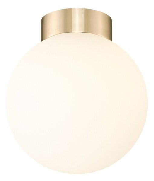 Zuma Line C0574-01D-F7AA přisazené stropní svítidlo ARCTURUS | 4W G9