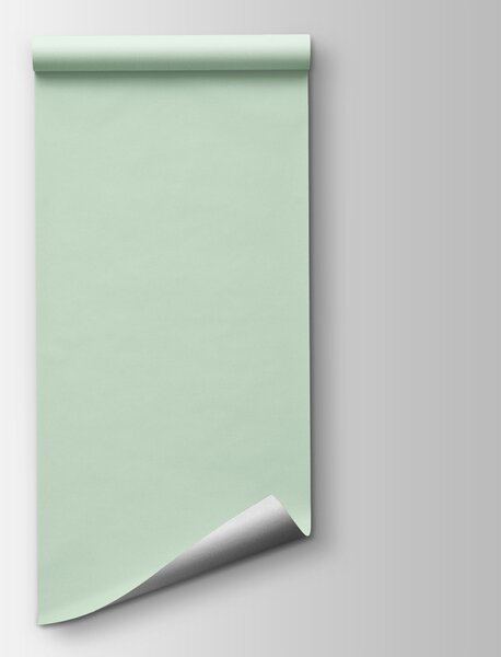 Fototapeta Zelené pozadí s květinami, Abstraktní fototapety, Populární fototapety, t00730v1 - Tapeko.co.cz