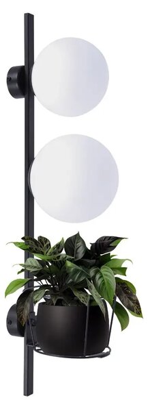Designové nástěnné svítidlo Plant