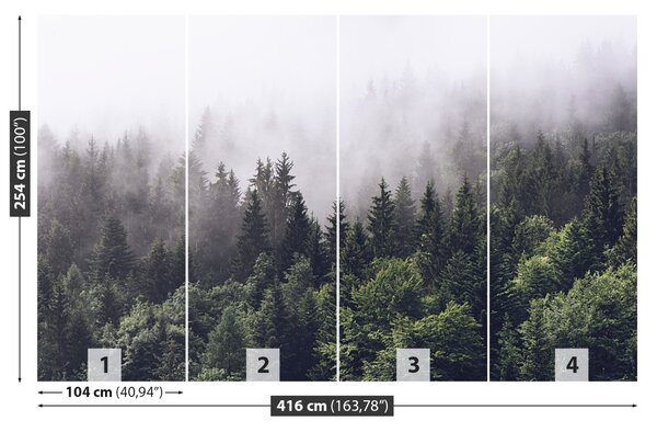 Fototapeta Horský les 104x70