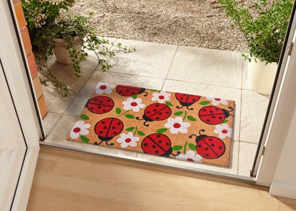 Hanse Home Collection koberce Rohožka Berušky 105578 - na ven i na doma - 45x75 cm