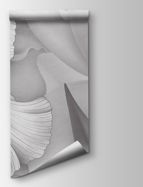 Fototapeta Elegantní květy v jemných odstínech šedé, Květinové fototapety, Populární fototapety, t00747v1 - Tapeko.co.cz