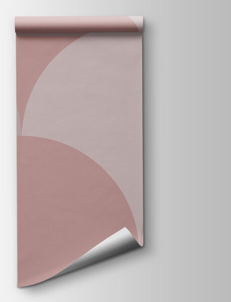 Fototapeta Vzor z kruhů v růžové a šedé barvě, Abstraktní fototapety, Populární fototapety, w03722 - Tapeko.co.cz