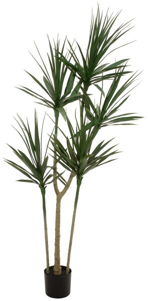 Umělá palama Dracena, 170cm