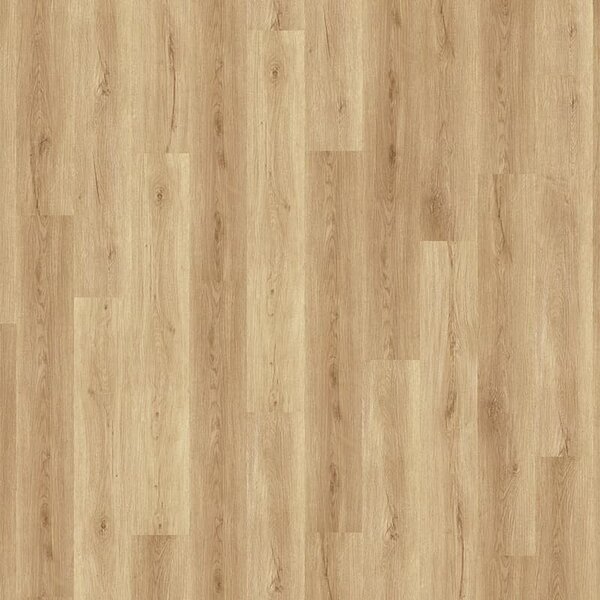 Vinylová podlaha Karndean Solidline 3183 Oak Kalahari