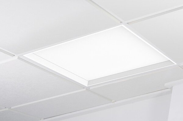 KHL K50502.GR.OP.3K.D1 WINNER LED panel zelená 3000K opál 1..10V 37W čtverec - KOHL-Lighting