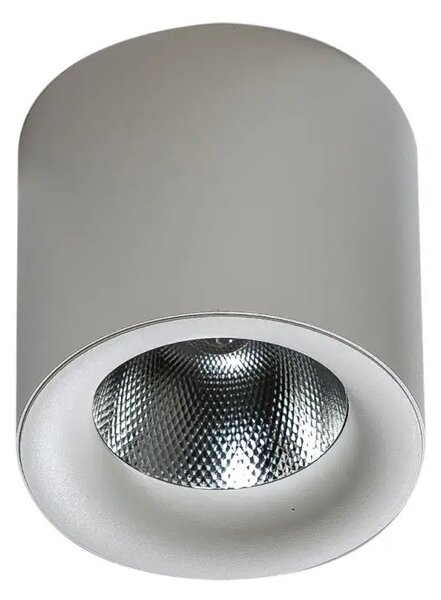 LED bodové světlo Mane 20W Dimm bílé – Bílá