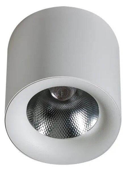 LED bodové světlo Mane 20W Dimm bílé – Bílá