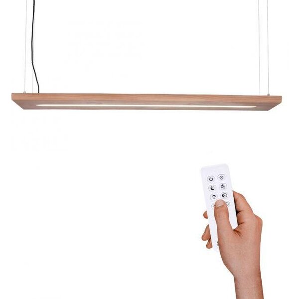 Paul Neuhaus Závěsné LED svítidlo PALMA, 27W, d. 120 cm, CCT 2700-5000K