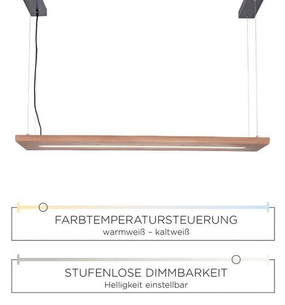 Paul Neuhaus Závěsné LED svítidlo PALMA, 27W, d. 120 cm, CCT 2700-5000K
