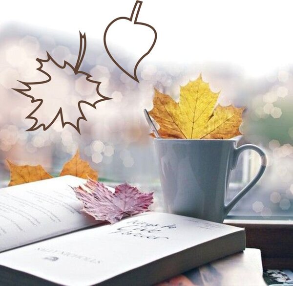 Kontury listů - podzimní samolepky na okno grafit