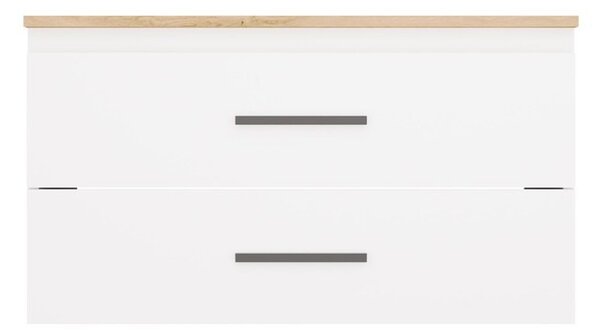 TP Living Závěsná skříňka pod umyvadlo s deskou NEL 2S 80 cm bílá/dub Artisan