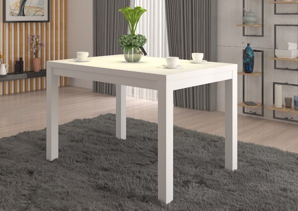 Konferenční stolek OLAF 2 120x80