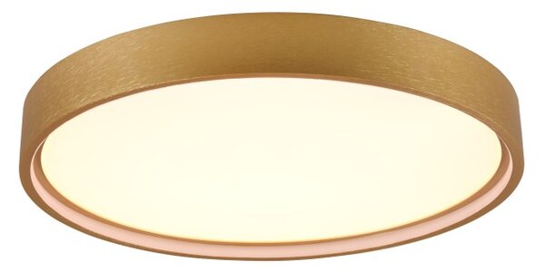 Trio 641310208 LED přisazené stropní svítidlo Doha | 29W integrovaný LED zdroj | 3260 lm | 2300+3000+4000K