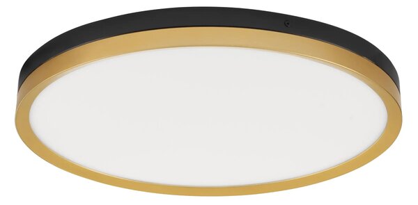 LED stropní svítidlo Cantria 50