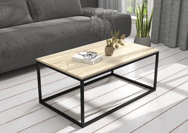 ADRK Furniture Konferenční stolek NARISA 100x60 CT-NAR-B-S