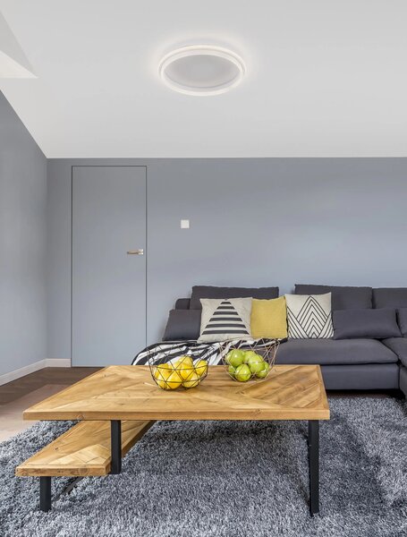 LED stropní svítidlo Willow R 45 bílé – Bílá