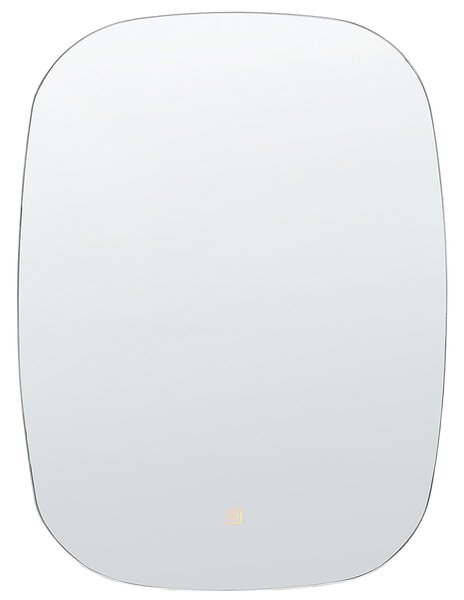 LED koupelnové zrcadlo BERGERAC 58 cm 78 cm Stříbrná
