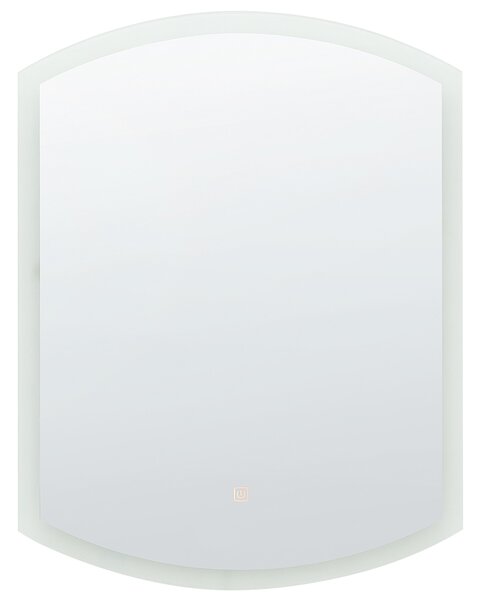 LED koupelnové zrcadlo BEZIERS 60 cm 78 cm Stříbrná